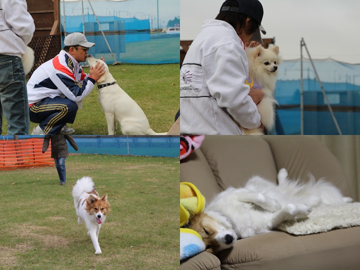 ファイル 282-1.jpg