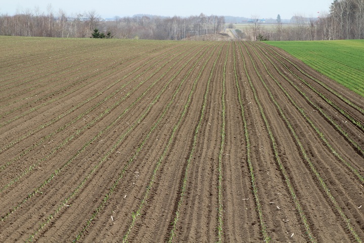 ファイル 282-2.jpg