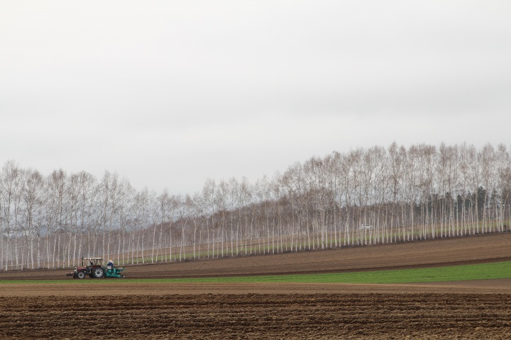 ファイル 282-3.jpg