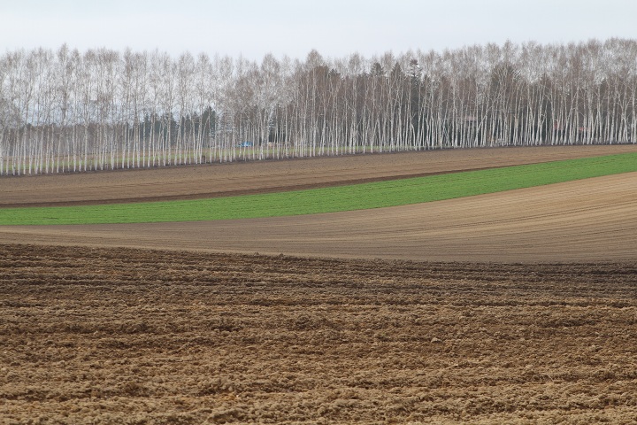 ファイル 282-5.jpg