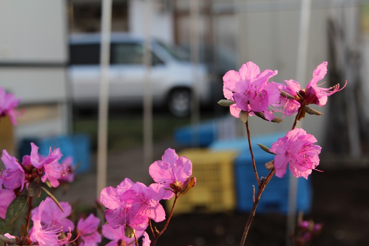 ファイル 283-1.jpg