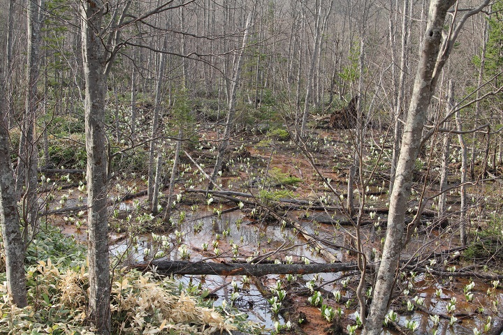 ファイル 283-2.jpg