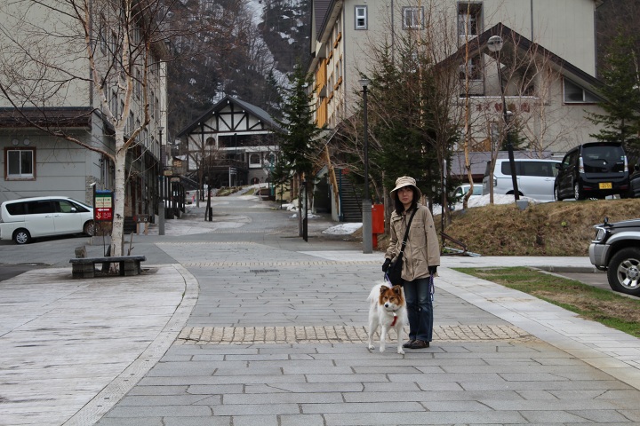 ファイル 283-4.jpg