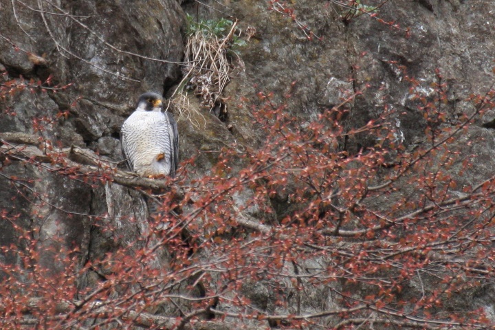 ファイル 283-5.jpg