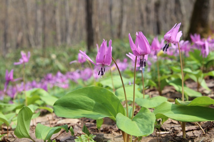 ファイル 284-3.jpg