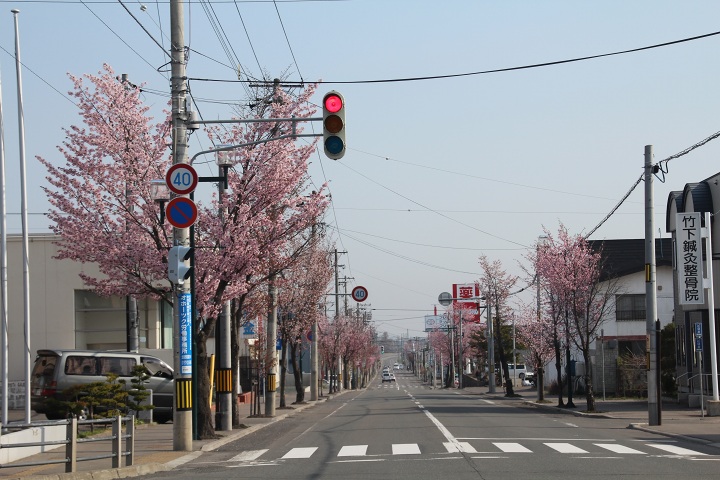 ファイル 285-2.jpg