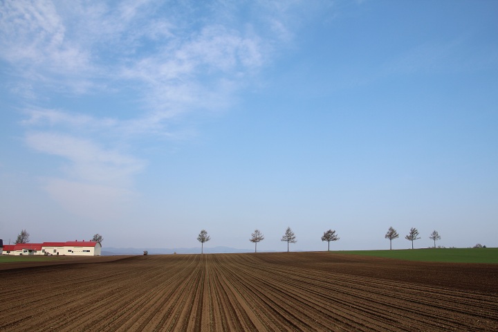 ファイル 285-3.jpg