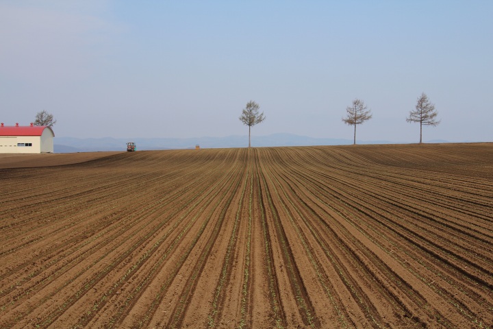 ファイル 285-4.jpg