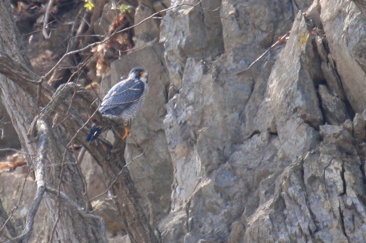 ファイル 286-1.jpg