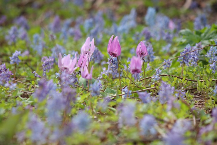 ファイル 286-5.jpg