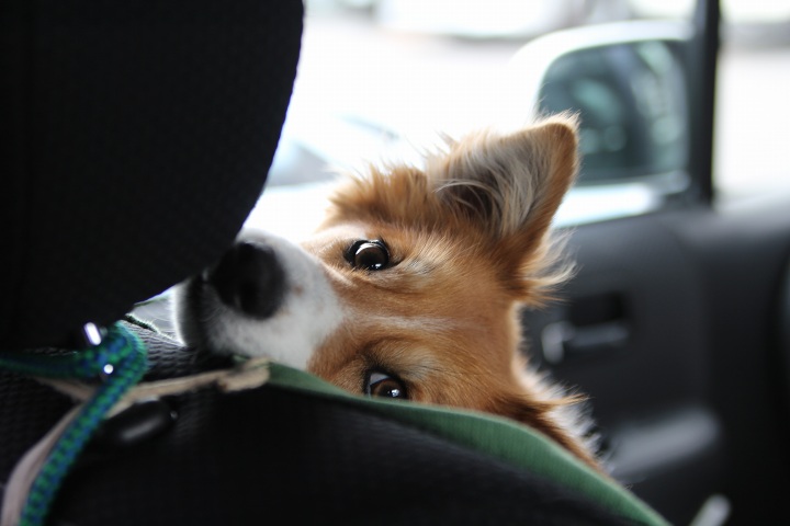 ファイル 288-1.jpg