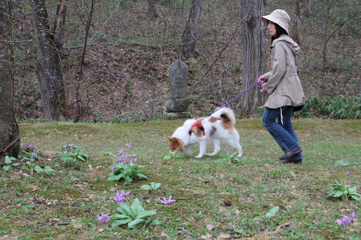 ファイル 288-3.jpg