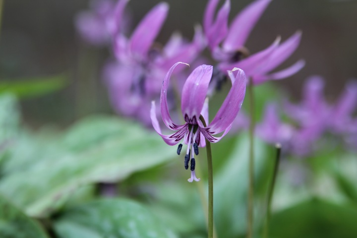 ファイル 288-4.jpg