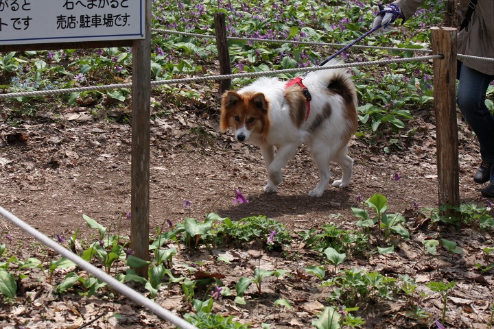 ファイル 289-4.jpg