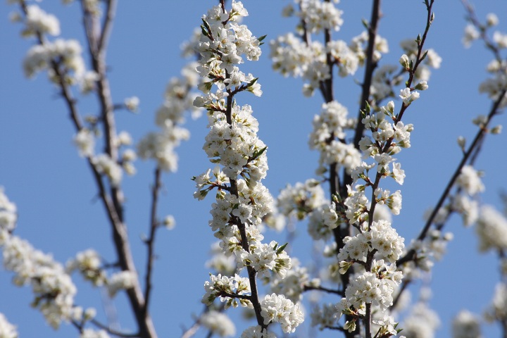 ファイル 290-3.jpg