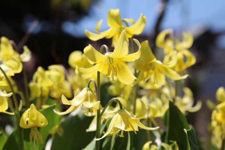 ファイル 290-4.jpg