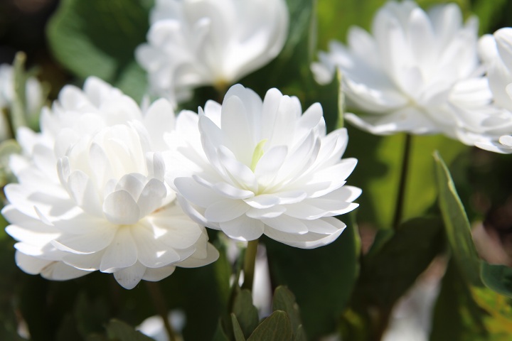 ファイル 290-5.jpg