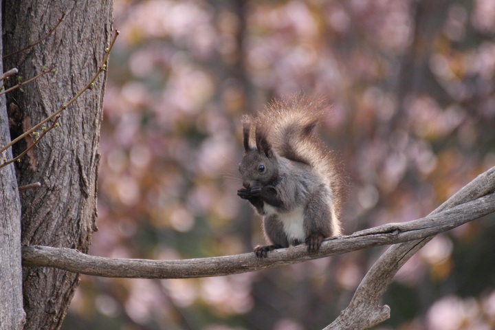 ファイル 291-3.jpg