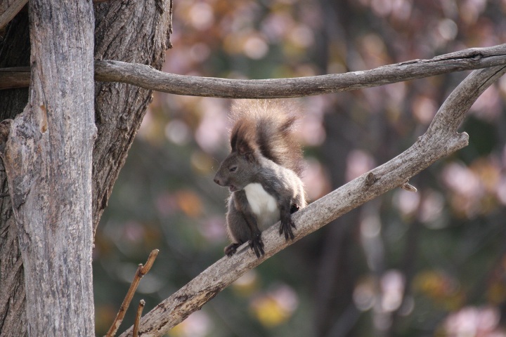 ファイル 291-4.jpg