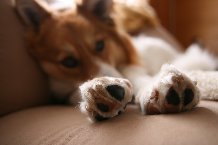 ファイル 292-2.jpg