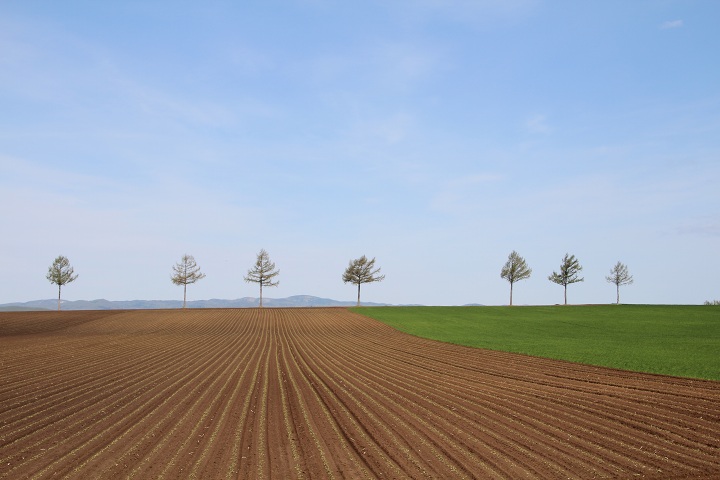 ファイル 294-1.jpg