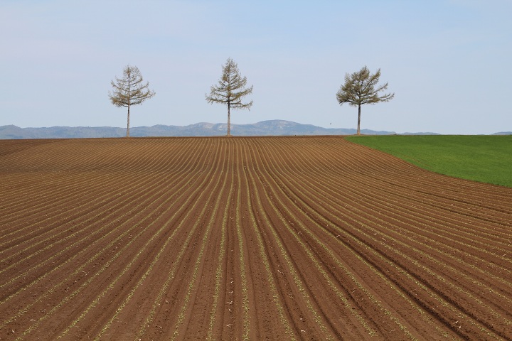 ファイル 294-2.jpg