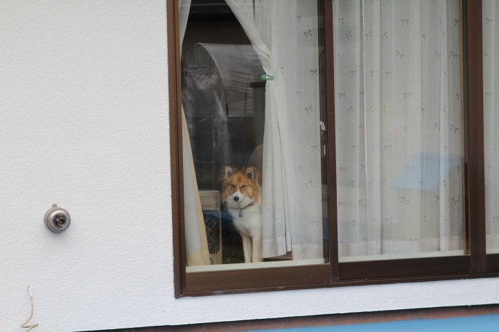 ファイル 296-5.jpg