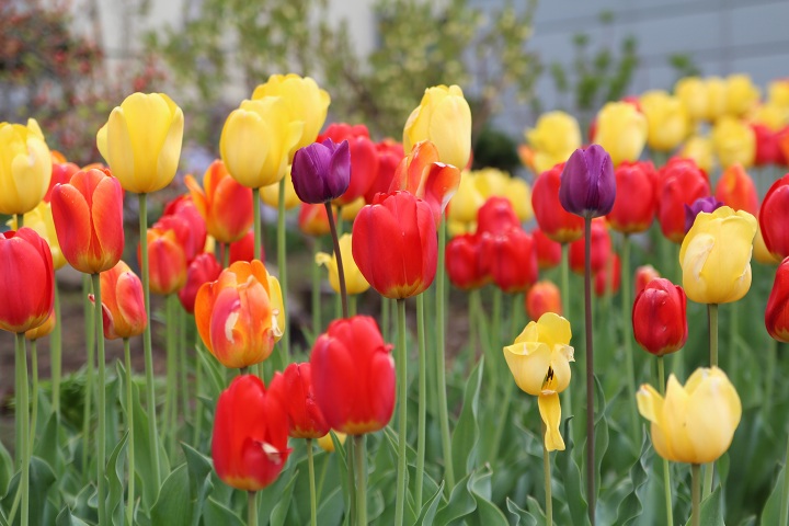 ファイル 297-1.jpg