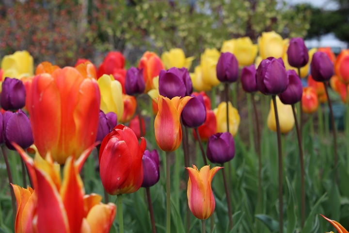 ファイル 297-2.jpg