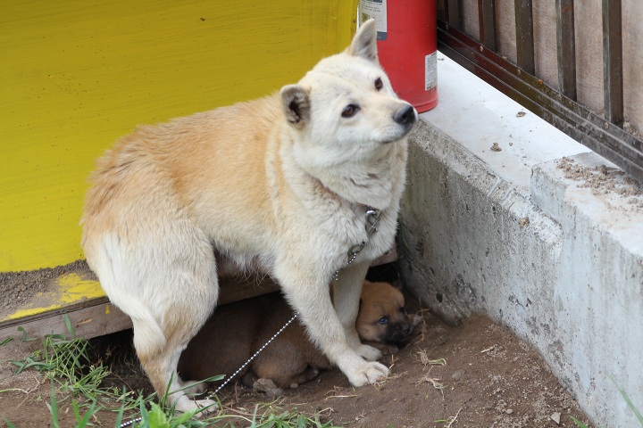 ファイル 297-3.jpg