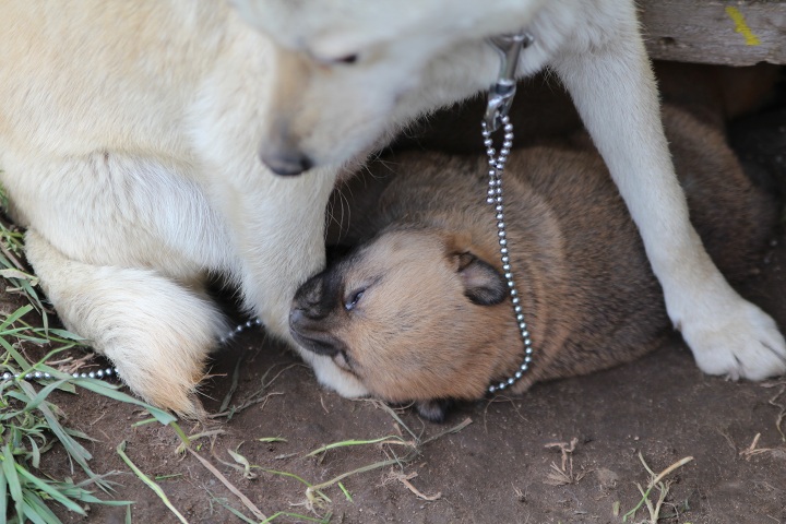 ファイル 297-4.jpg