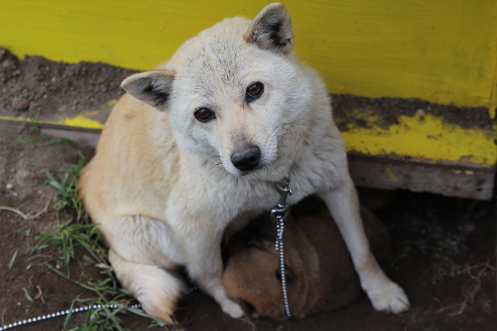 ファイル 297-5.jpg