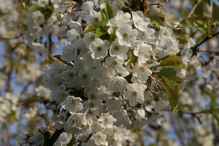 ファイル 298-2.jpg