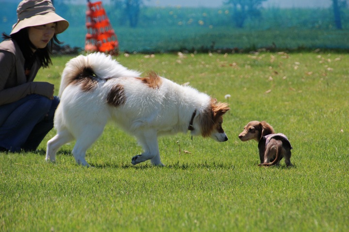 ファイル 302-2.jpg