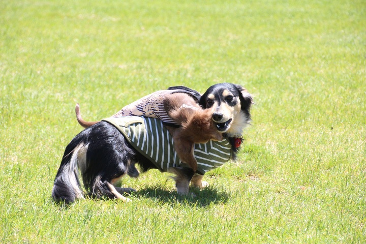 ファイル 302-3.jpg