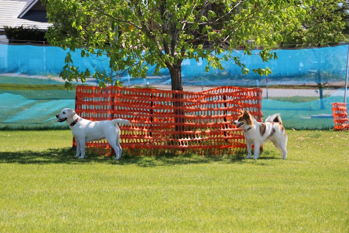 ファイル 302-4.jpg