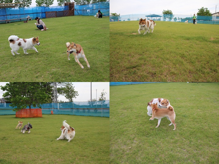 ファイル 304-3.jpg