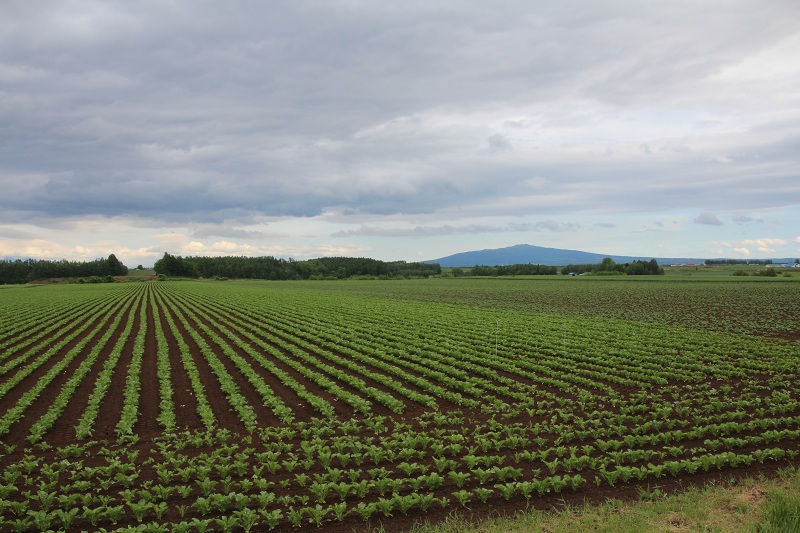 ファイル 305-1.jpg