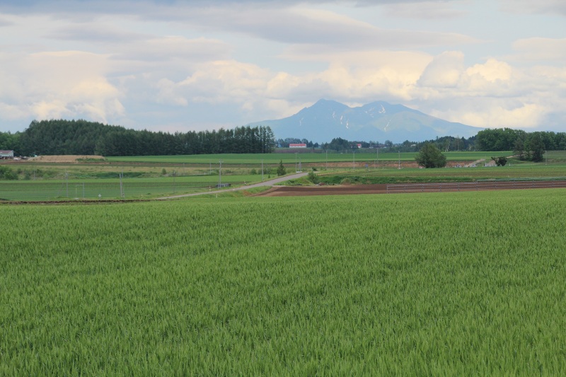 ファイル 305-2.jpg