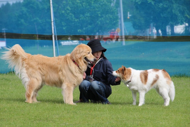 ファイル 306-1.jpg