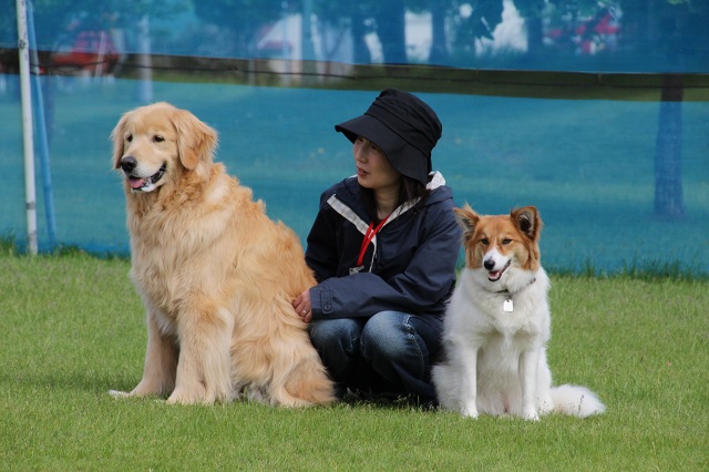 ファイル 306-2.jpg