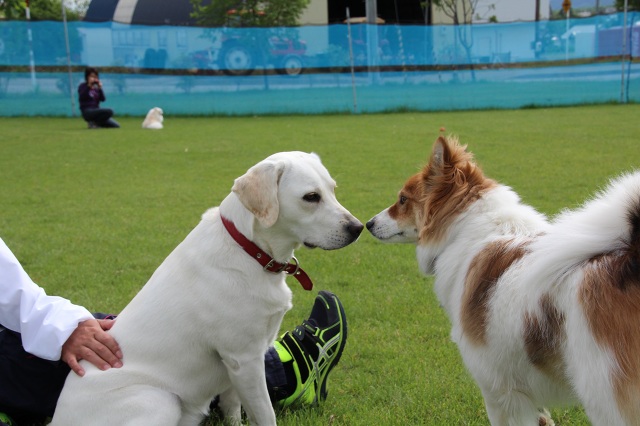 ファイル 306-3.jpg