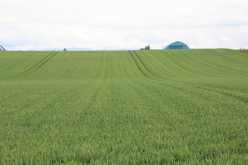 ファイル 307-1.jpg