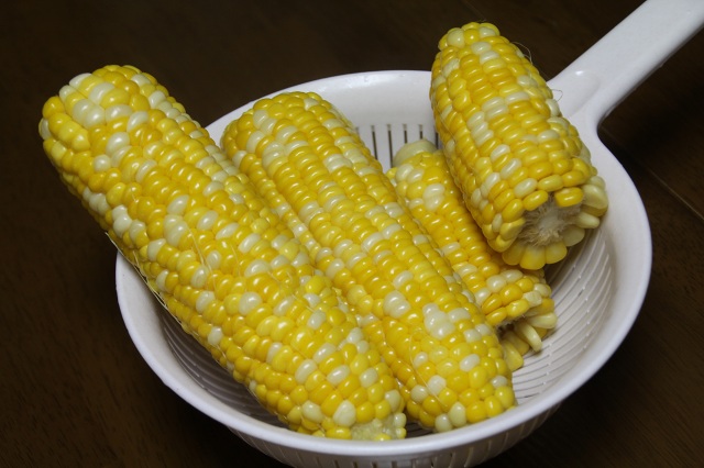 ファイル 308-1.jpg