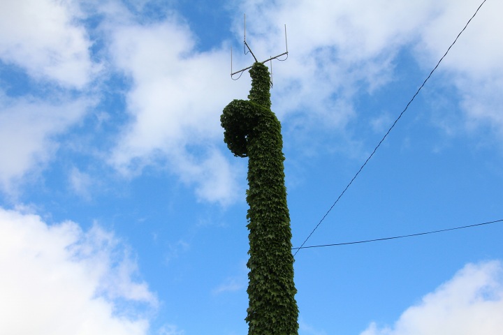 ファイル 311-5.jpg