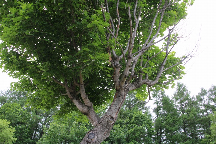 ファイル 312-1.jpg