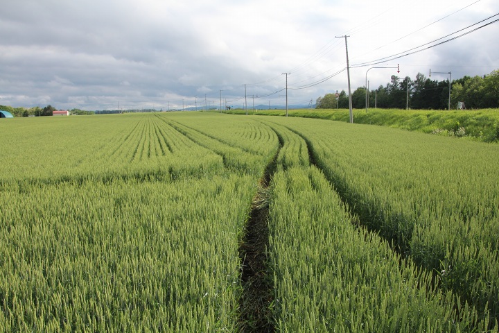 ファイル 312-2.jpg