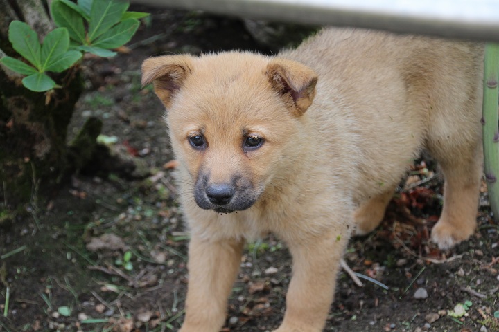 ファイル 312-4.jpg