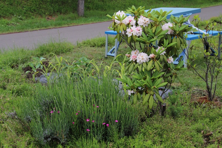 ファイル 312-5.jpg