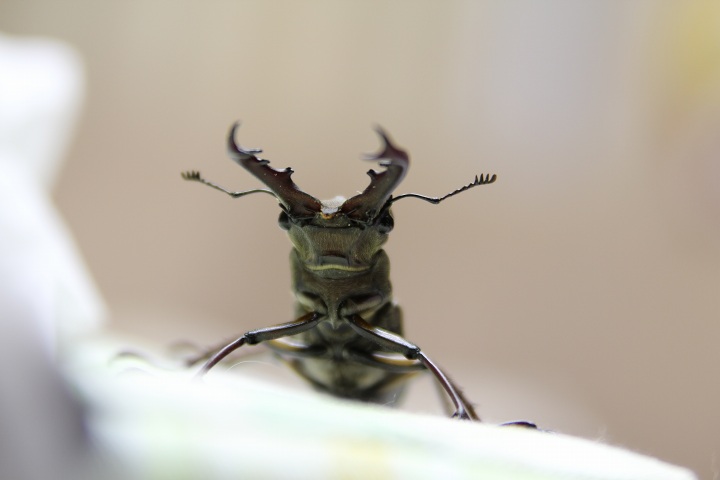 ファイル 313-1.jpg